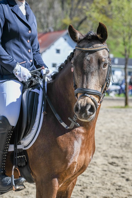 练中的努力 练中的努力