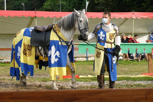 打球最聪明 打球最聪明