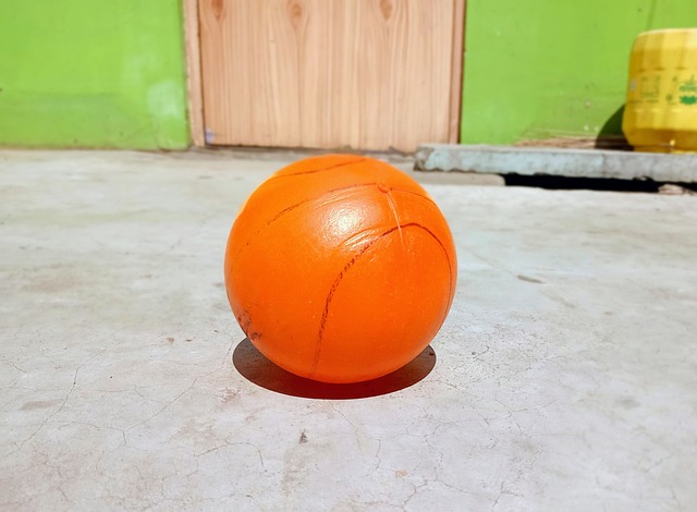 的轮换制度 的轮换制度