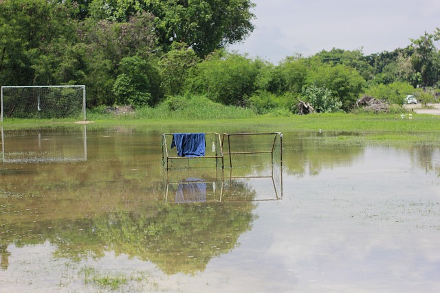 全能属性 全能属性