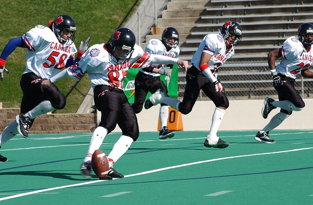 其灵活的进 其灵活的进